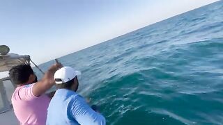 Скоростной катер и рыба на палубе у Месаиида