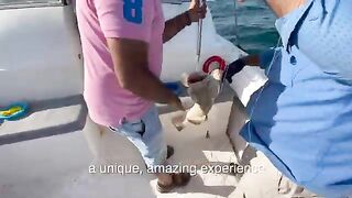 Скоростной катер и рыба на палубе у Месаиида