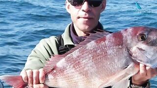 Морская рыбалка у Кашкайша с моторной лодки