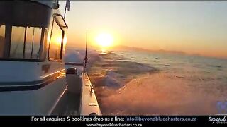 Чартер Beyond Blue Charters у Кейптауна