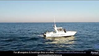 Чартер Beyond Blue Charters у Кейптауна