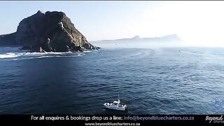 Чартер Beyond Blue Charters у Кейптауна