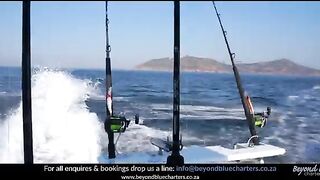 Чартер Beyond Blue Charters у Кейптауна