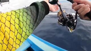 Желтоперый тунец у Ловины с джукунга