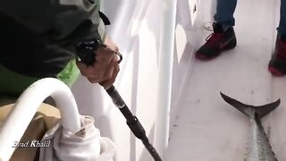 Рыбалка у Аль-Хиры в Шардже с лодки