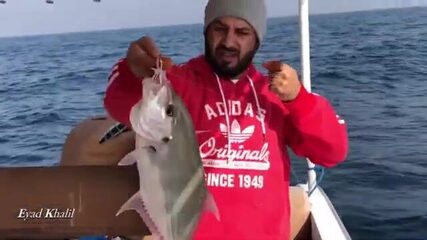 Морской выход Al Hira Fishing Trips у Шарджи