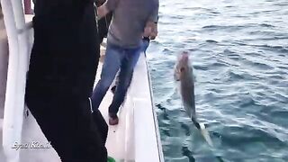 Морской выход Al Hira Fishing Trips у Шарджи