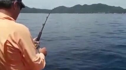 Марлин у Ко Тао на морской рыбалке с лодки