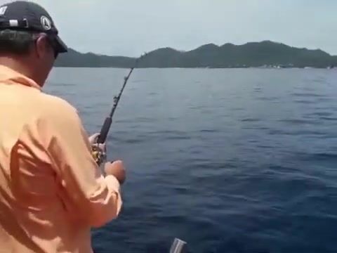 Марлин у Ко Тао на морской рыбалке с лодки