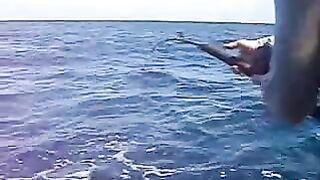 Марлиновый выход с лодки у Ко Тао
