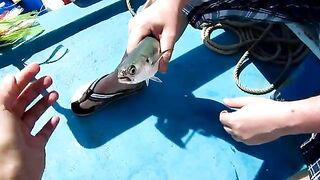 Лодочная рыбалка у Пхи-Пхи с рыбой на палубе