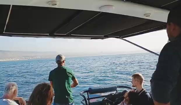 Рыбалка и купание с лодки у Агадира