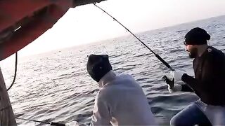 Рыба у борта на лодке в Аджмане