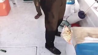 Спиннинг под тентом на лодке в Аджмане