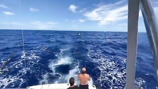 Чартер Whipsaw на морской рыбалке у Гонолулу