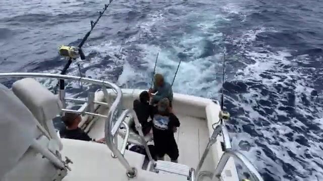Чартер Whipsaw на морской рыбалке у Гонолулу