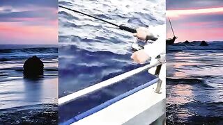 Тунец на Deep Sea No.1 у Саньи
