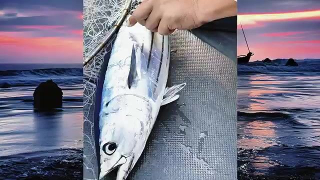 Офшорная рыбалка на тунца у Саньи, Хайнань