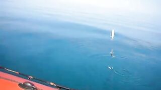 Самодур с лодки в Абхазии