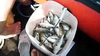 Самодур с лодки в Абхазии