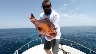 Гигантский каранкс на носу катера у Джибути
