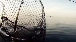 Подсак у борта в заливе Лимасола