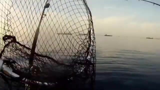 Подсак у борта в заливе Лимасола
