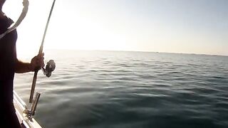 Леска в воде и рыба в руке у Лимасола