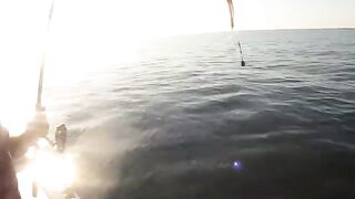 Леска в воде и рыба в руке у Лимасола