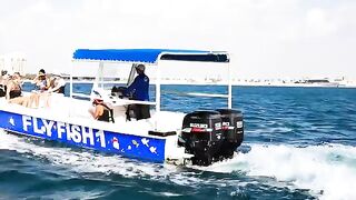 Морская рыбалка с лодки FLYFISH 1 у Аль-Марджана