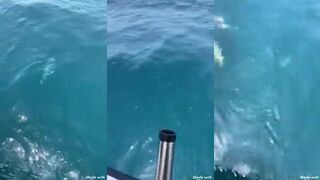 Катушка у борта у капитана Азиза в Рас-эль-Хайме