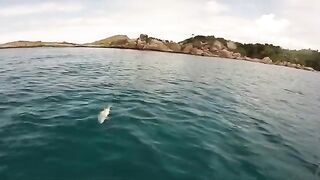 Нахлыст у Праслина с лодки AGT Charters