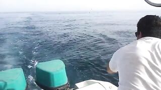 Тунец у борта в Бахрейне