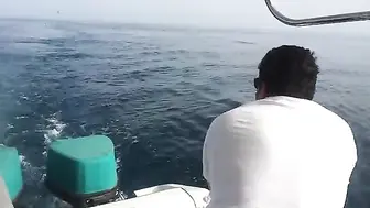 Тунец у борта в Бахрейне