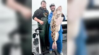 Палтус на палубе и рыба в руках у Ситки