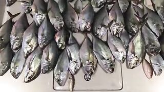 Ночной улов на белой палубе у Аль-Мамзара