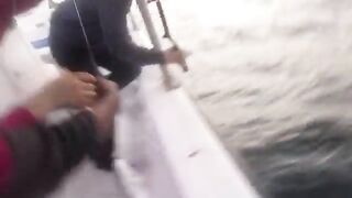 Рыба в сетке на катере у Шарджи