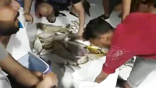 Рыбу перебирают на катере из Аджмана