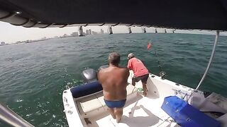 Барракуда у борта в Аджмане