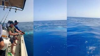 Белого марлина у Марокко ждут в океане