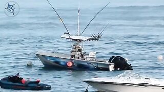 Удилища и улов у Marabout Fishing в Марокко