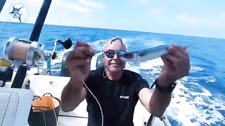 Удилища и улов у Marabout Fishing в Марокко