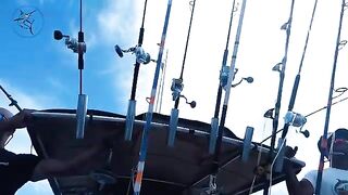 Удилища и улов у Marabout Fishing в Марокко