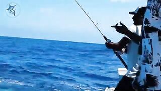 Удилища и улов у Marabout Fishing в Марокко