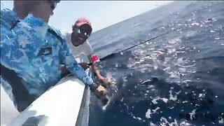 Марлина подводят к борту в Марокко