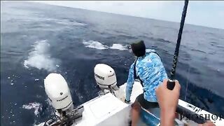 Марлина подводят к борту в Марокко
