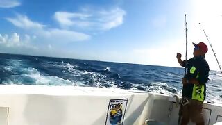 Спинорога подняли после поломки у Пуэрто-Морелоса