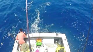 Снасть за кормой на Samaki у Канкуна
