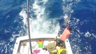 Снасть за кормой на Samaki у Канкуна