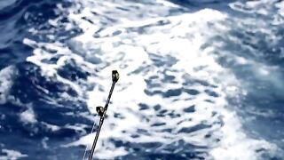 Снасть за кормой у BlackRiver Charters